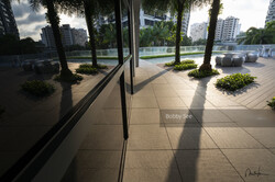 D'Leedon (D10), Condominium #249212671